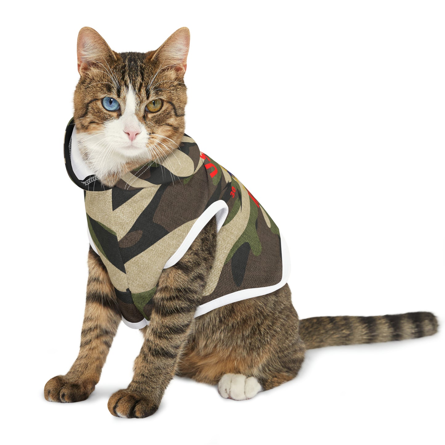 Ushkee King Pet Hoodie