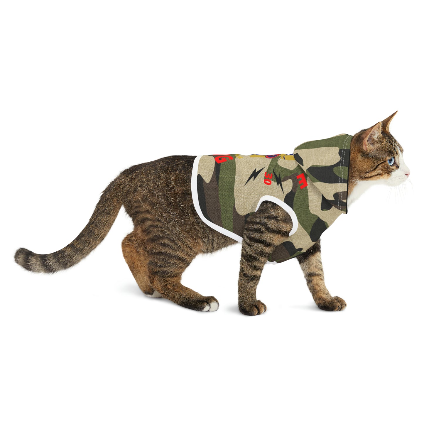 Ushkee King Pet Hoodie