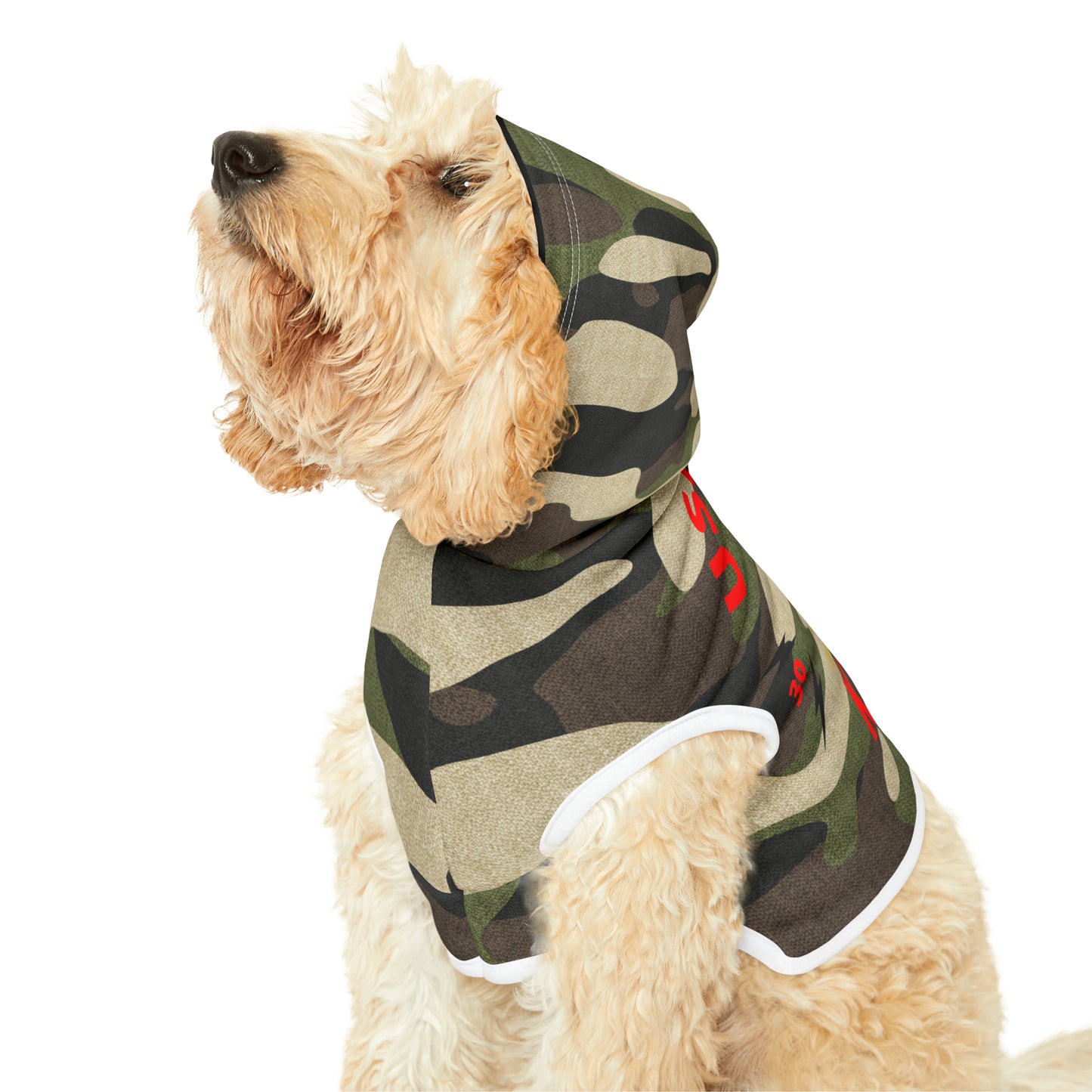 Ushkee King Pet Hoodie